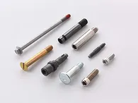 Inspection Cases
