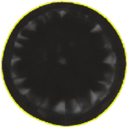 Types of Defects Detected