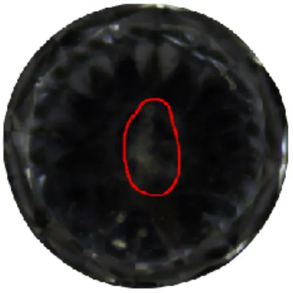 Types of Defects Detected